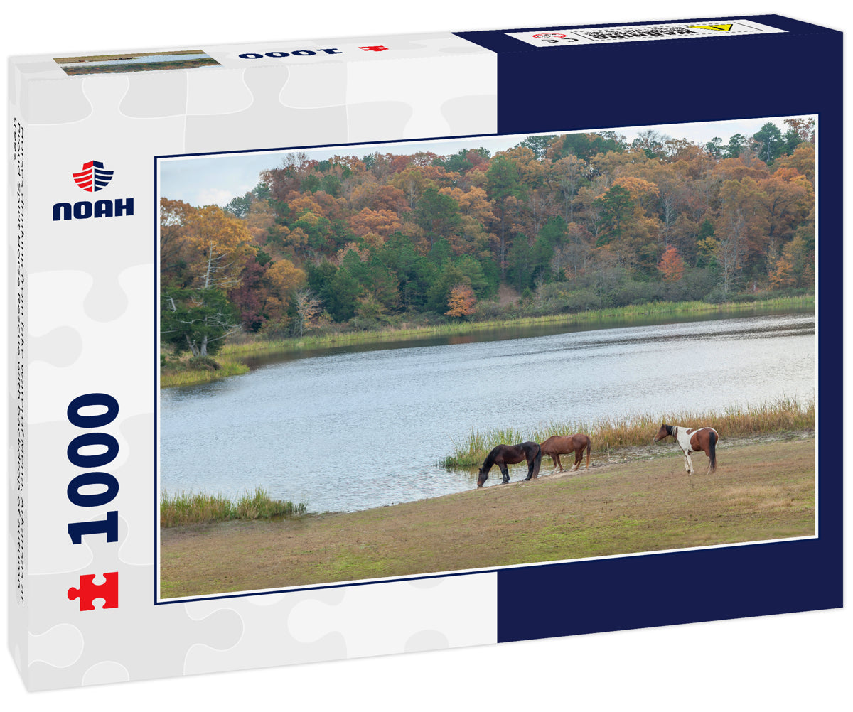 Horses drinking from lake waterof Mena, Arkansas at Proud Spirit Horse Rescue with backdrop of autumn trees