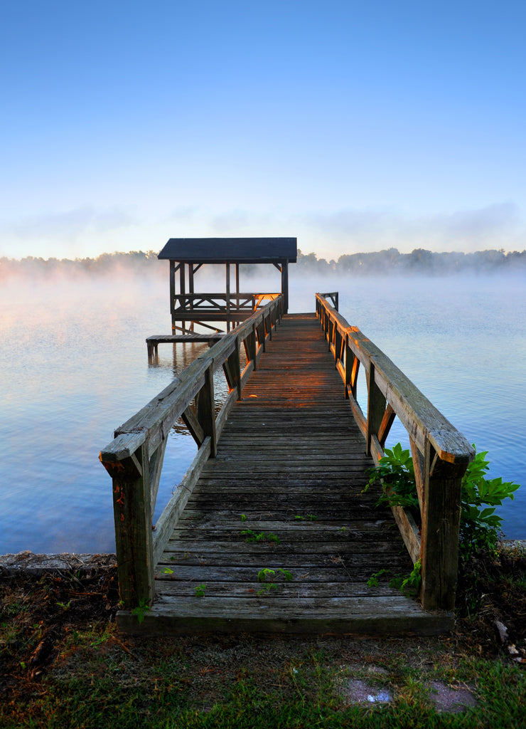 Chicot at Dawn, Arkansas