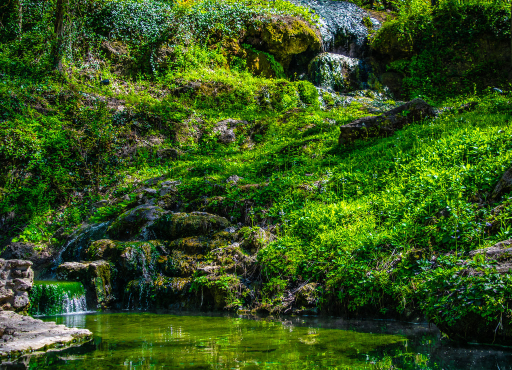 Wilderness in Hot Springs, Arkansas