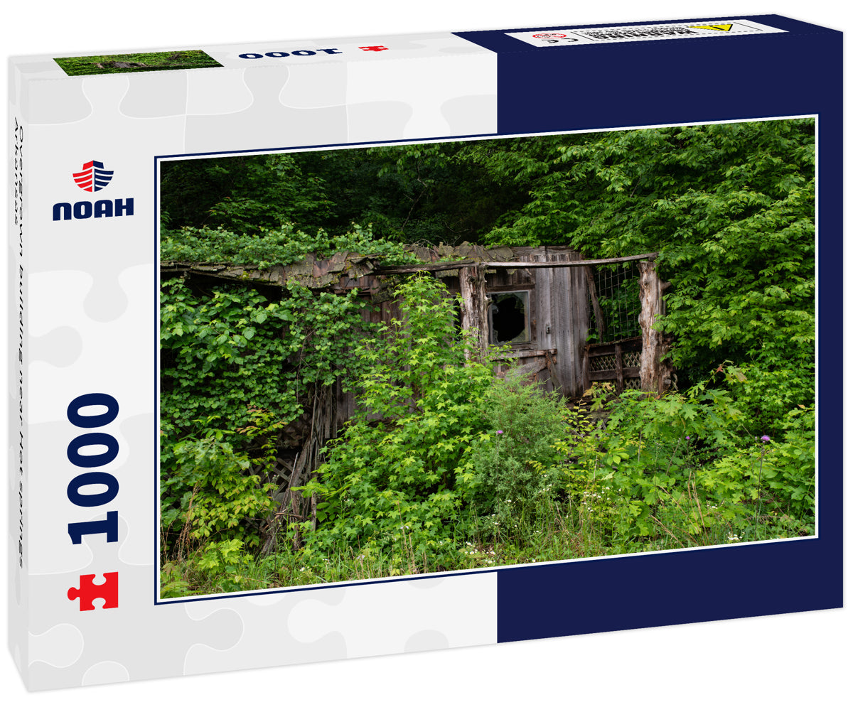 Overgrown building near Hot springs Arkansas