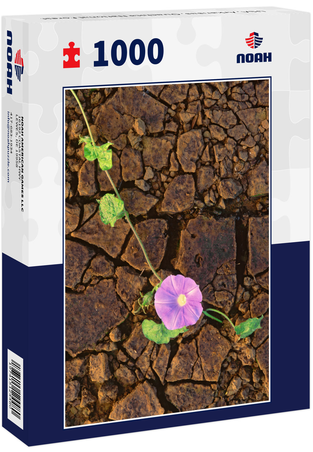 USA, Arkansas, Ouachita National Forest