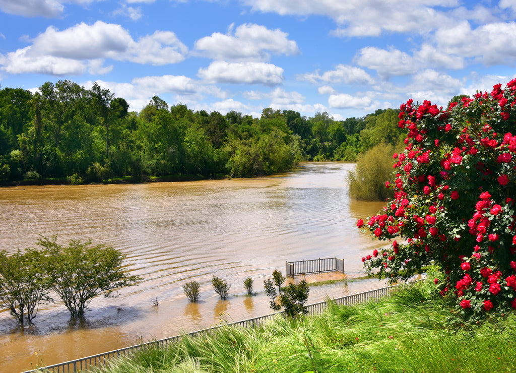 Ouachita River High Levels at Riverfront Park, Arkansas