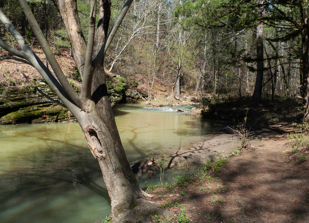 Crack in the Rock trail, Van Buren, Arkansas, fast moving stream