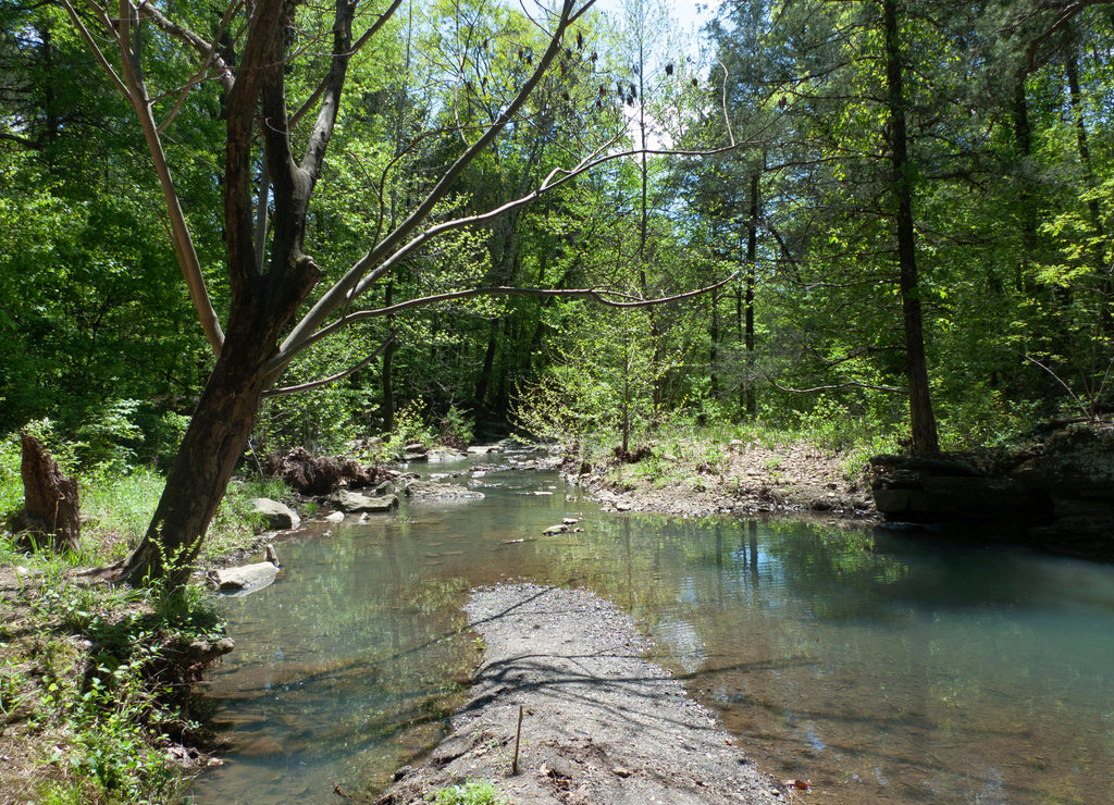 Crack in the rock trail, Van Buren, Arkansas, mountain stream in the forest