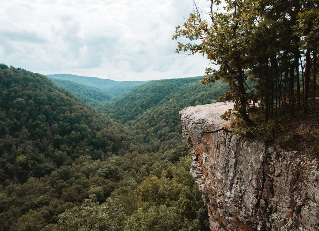 Hawksbill Crag Whitaker Point Hiking Trail in Arkansas near Fayetteville