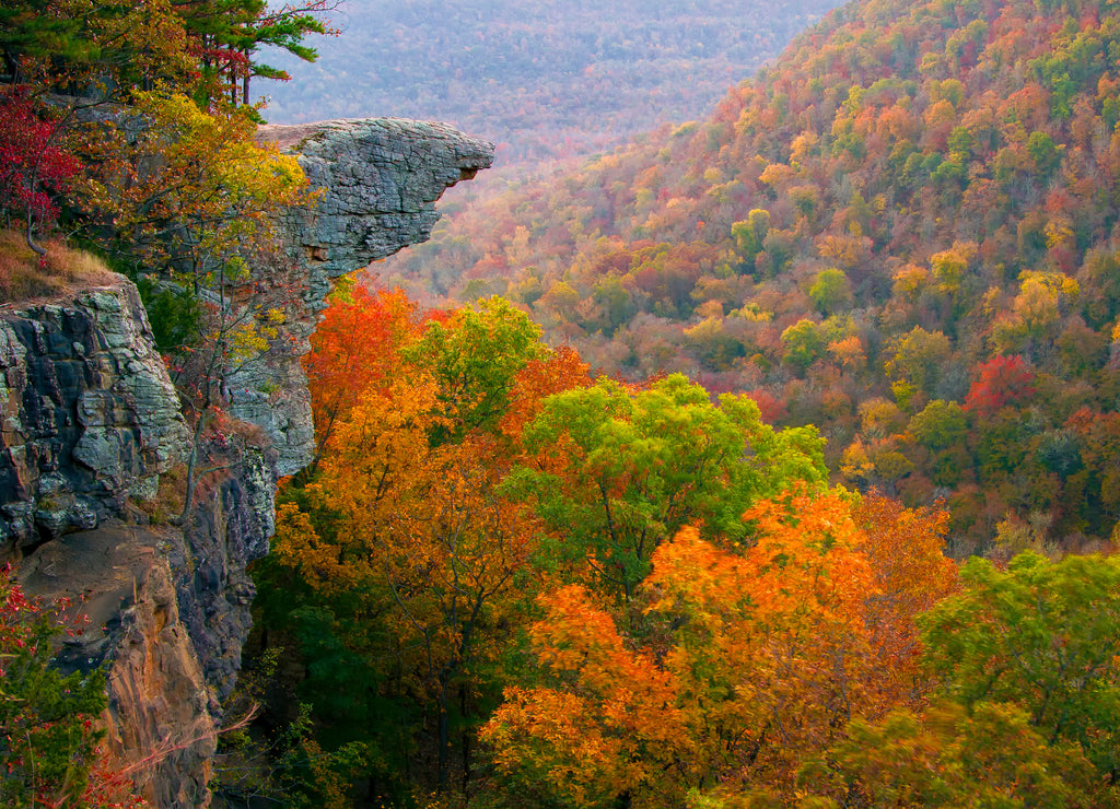 Hawksbill Crag Sunrise in the Fall, Arkansas