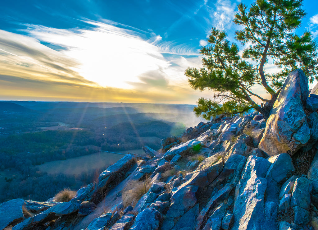 Arkansas Wilderness at Twilight