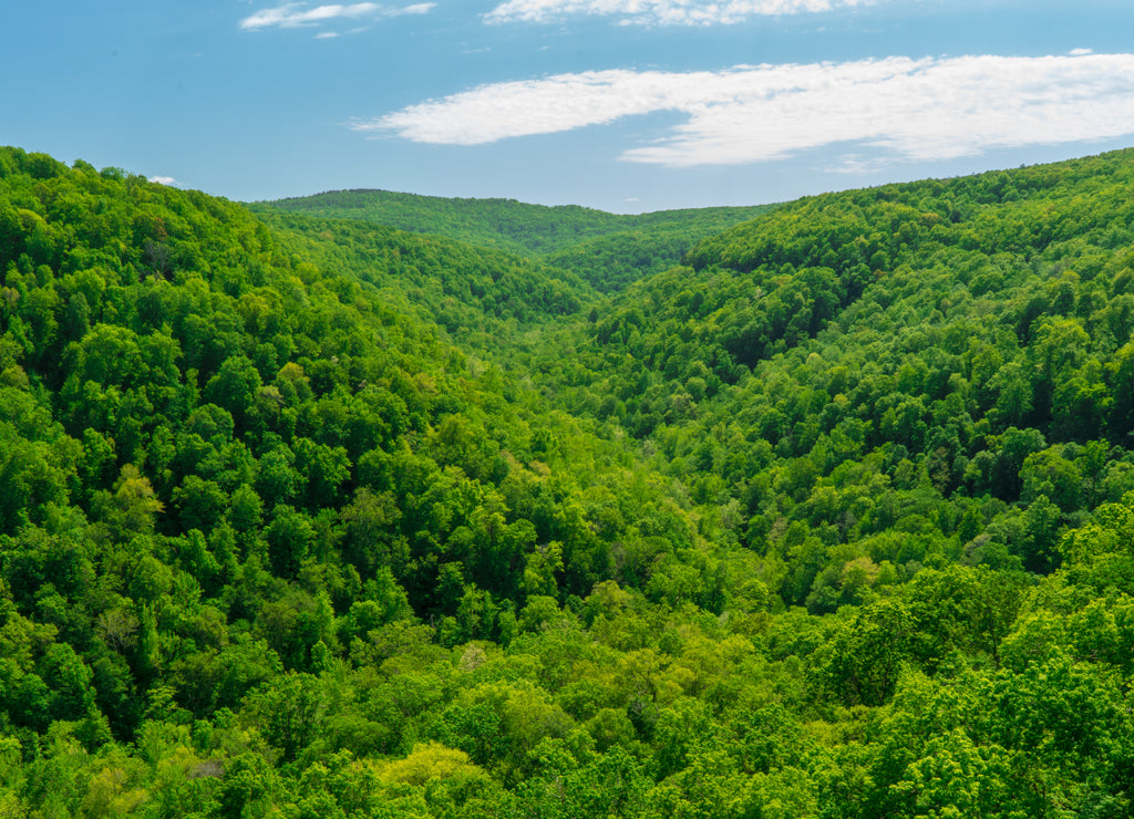 Whitaker Point Landscape view from rock cliff hiking trail, Ozark mountains, Northwest Arkansas