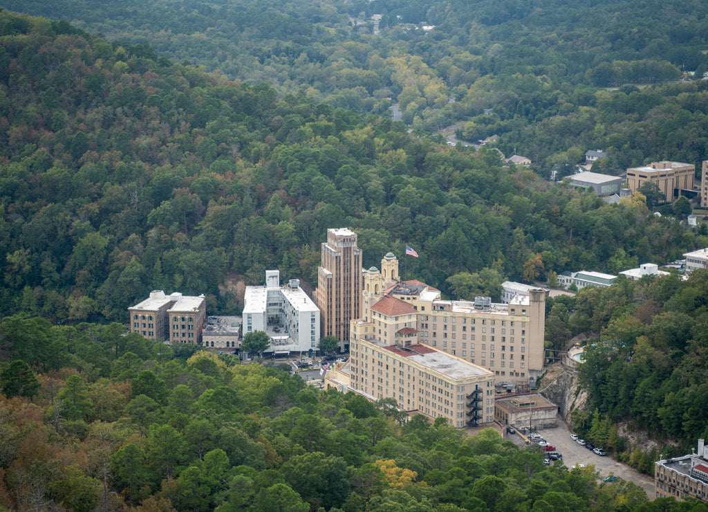 Forest in Hot Springs National Park, Arkansas