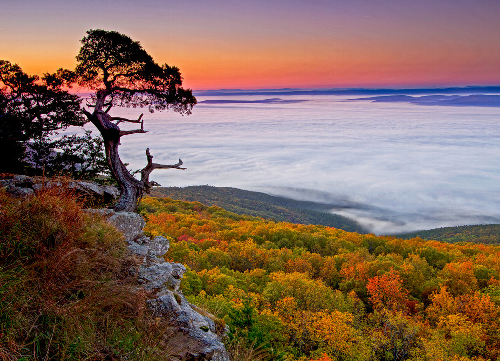 Cedar Tree Bluff Overlook Arkansas