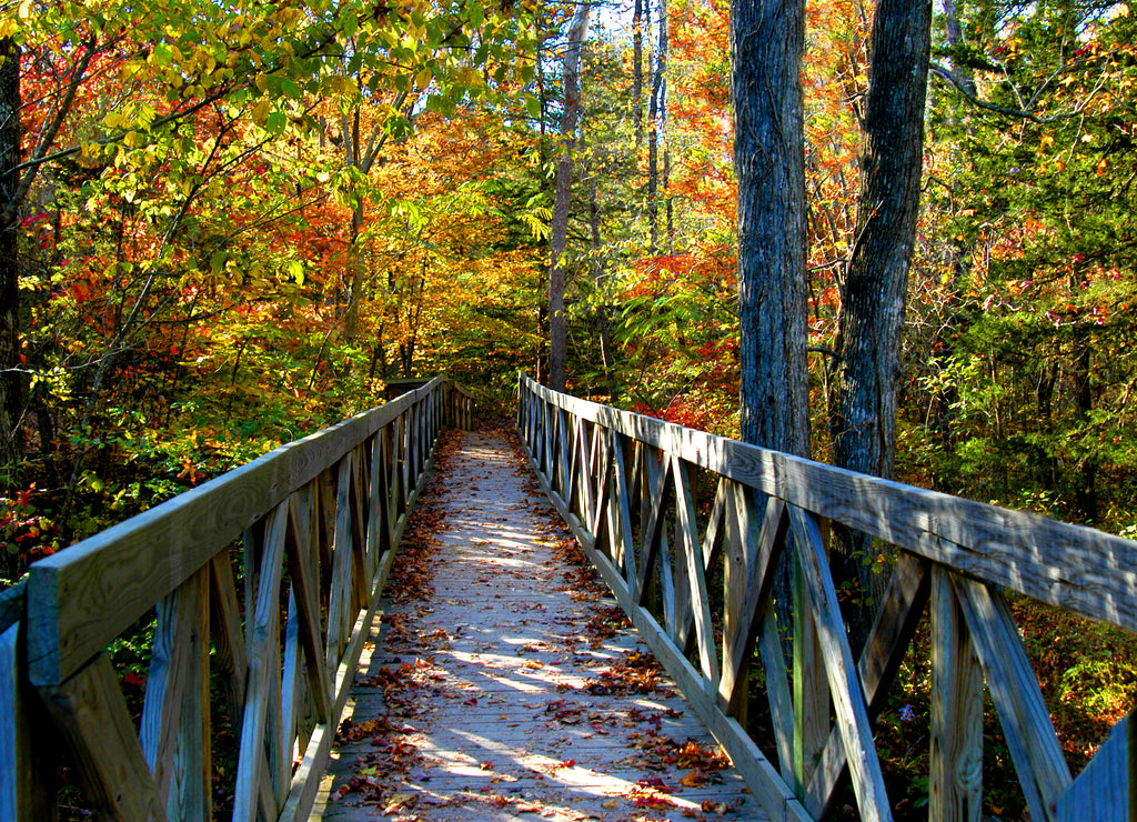 Autumn Arkansas and Amazing