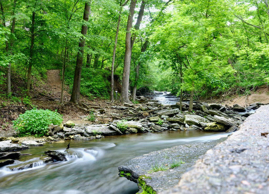 Stream in Arkansas