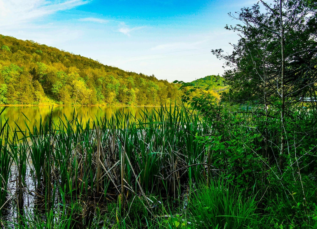 Lake Leatherwood lake in Eureka Springs Arkansas