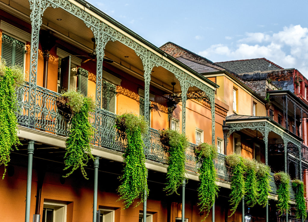 Balcony with Plants 12 in the French Quarter New Orleans, Louisiana