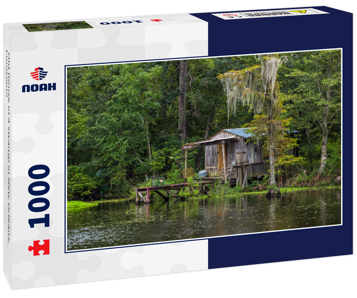 Old house in a swamp in New Orleans, Louisiana