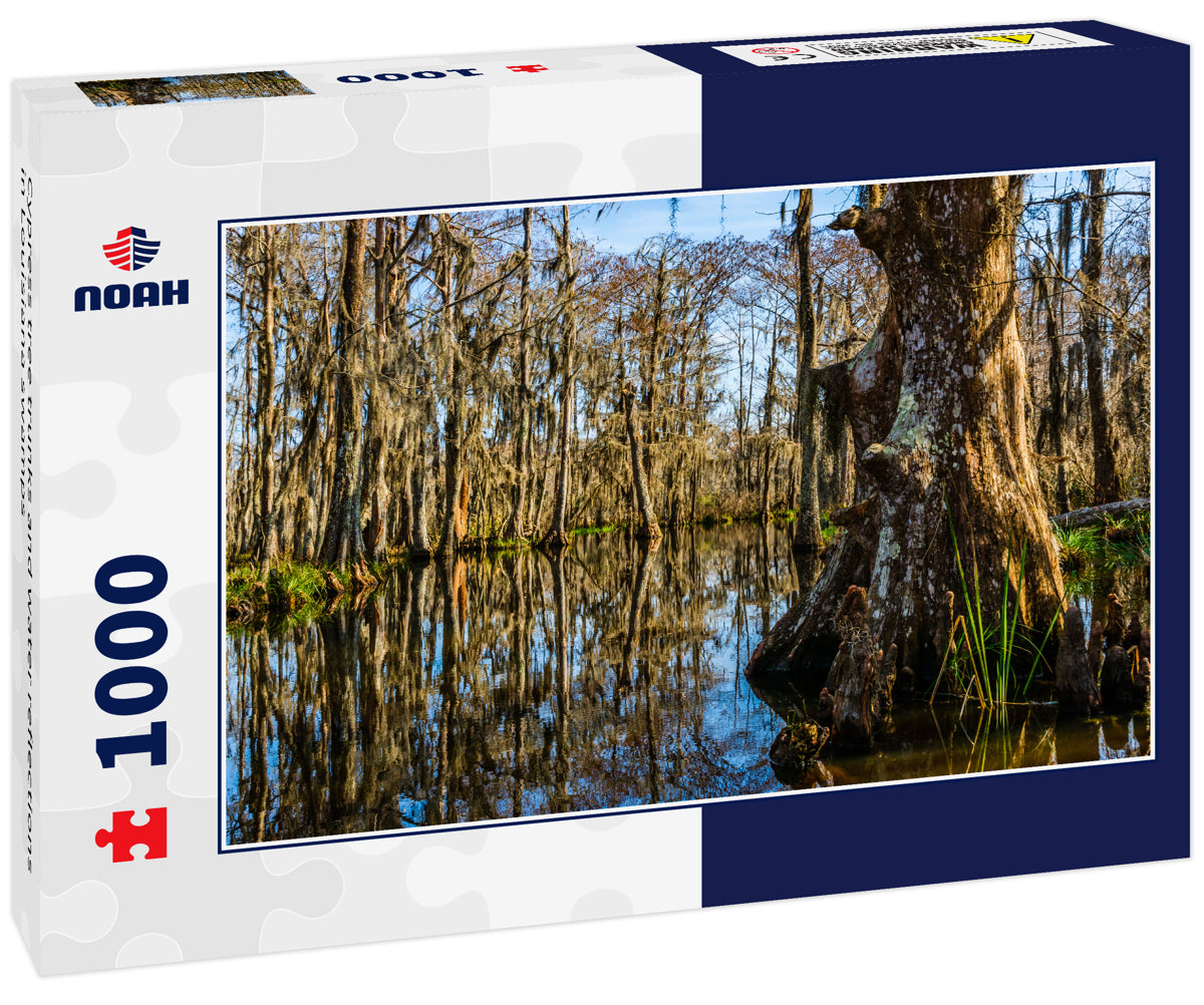 Cypress tree trunks and water reflections in Louisiana swamps