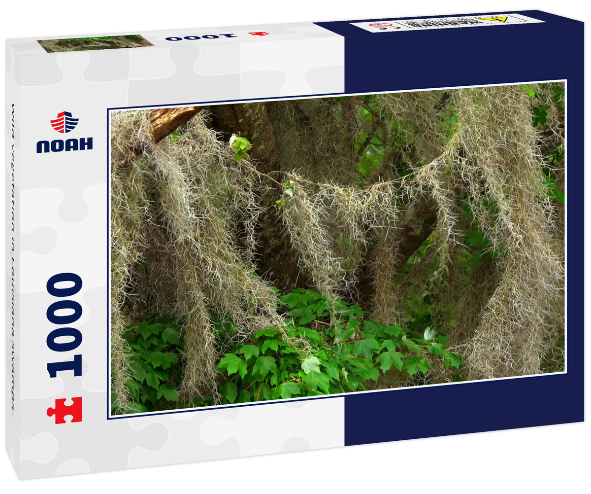 Wild vegetation in Louisiana swamps