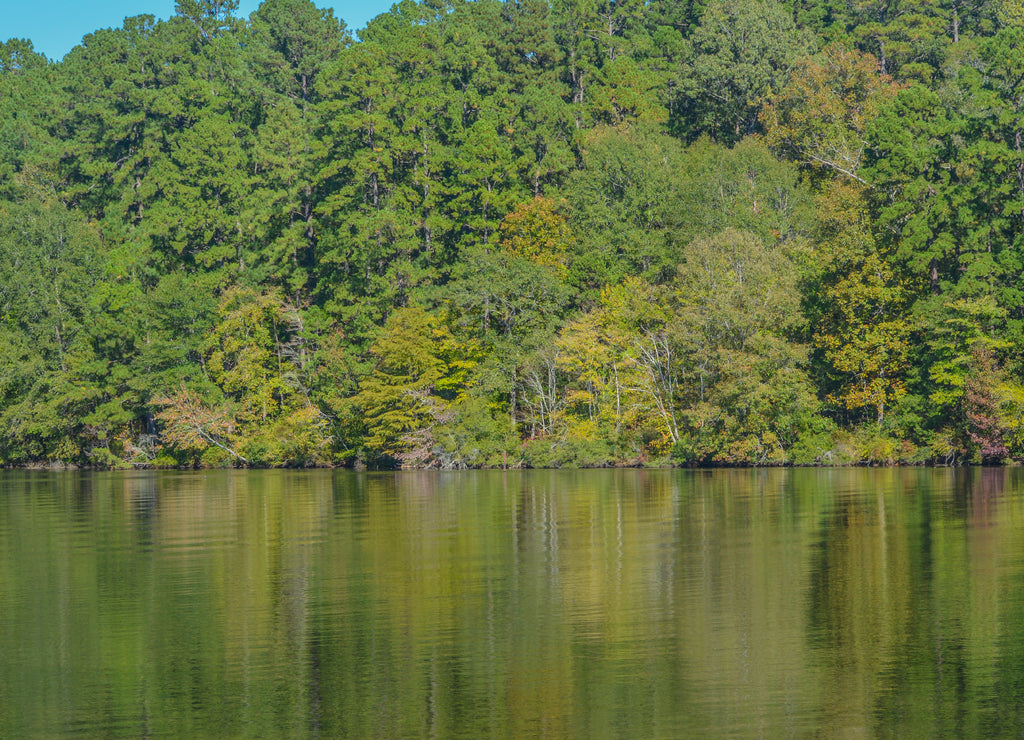 Beautiful view of Lake Claiborne State Park, in Homer, Claiborne Parish, Louisiana