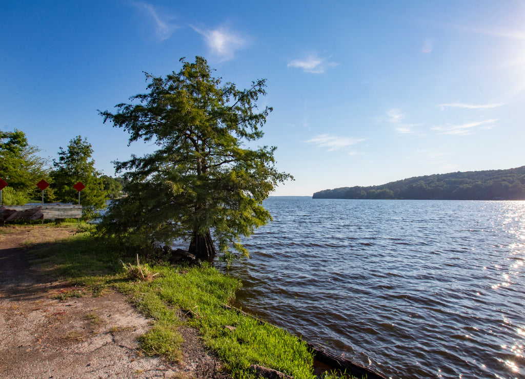 Lake D'Arbonne State Park, Louisiana