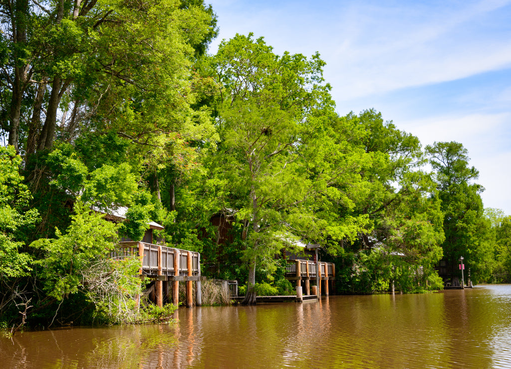 Lake Fausse Pointe State Park, Louisiana