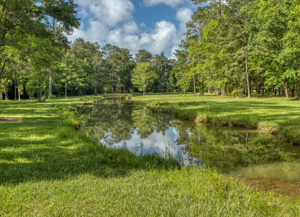 Landscape from the Deep South of Louisiana