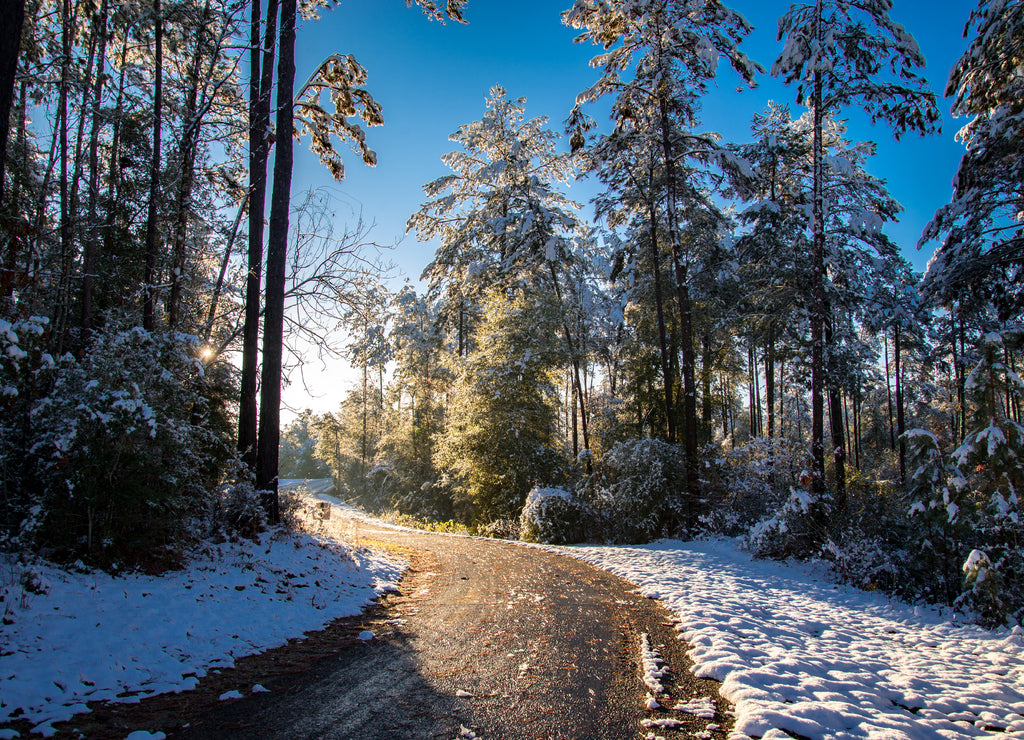 Louisiana snow blankets a state park