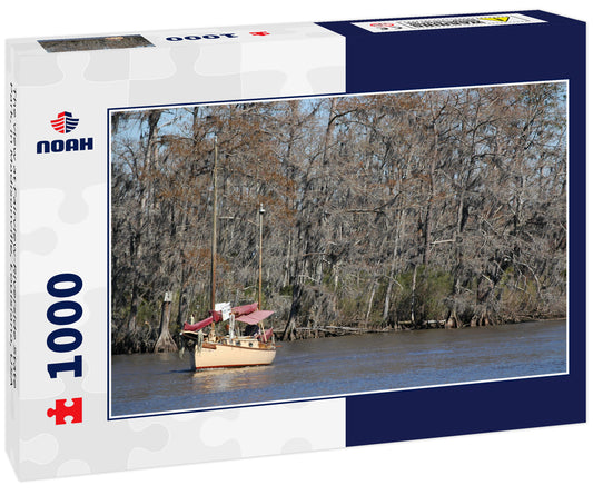 The view at Fairview-Riverside State Park, in Madisonville, Louisiana, USA