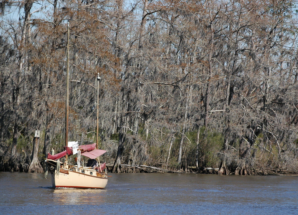 The view at Fairview-Riverside State Park, in Madisonville, Louisiana, USA