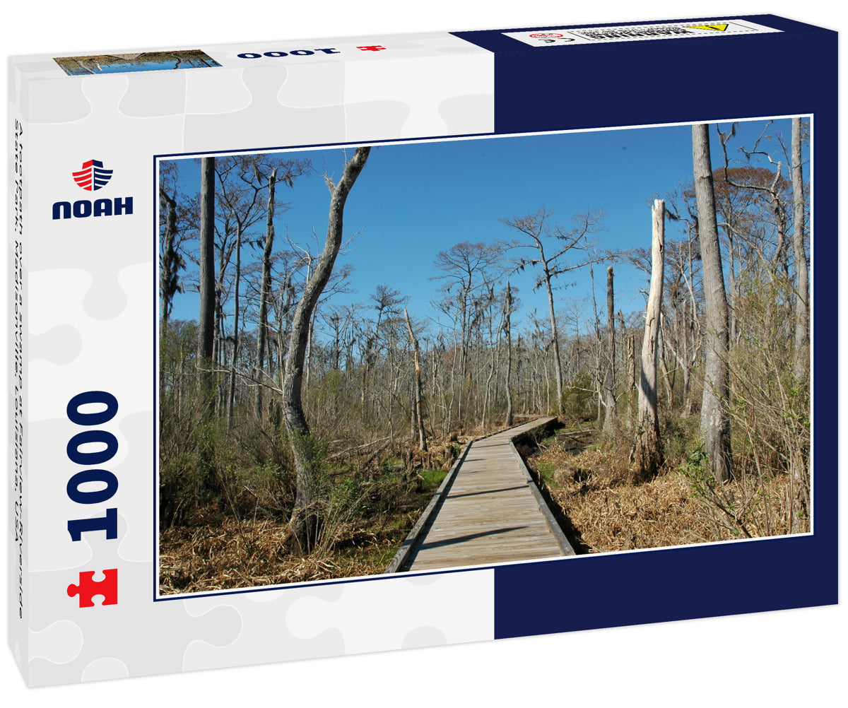 A footpath over a swamp at Fairview-Riverside State Park, Madisonville, Louisiana, USA