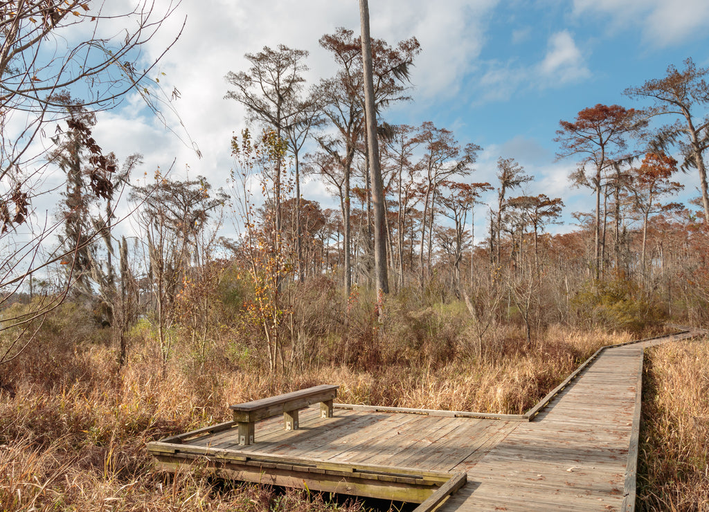 Madisonville, Louisiana