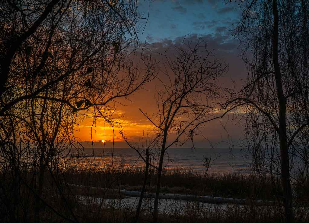 Beautiful day's end in Louisiana