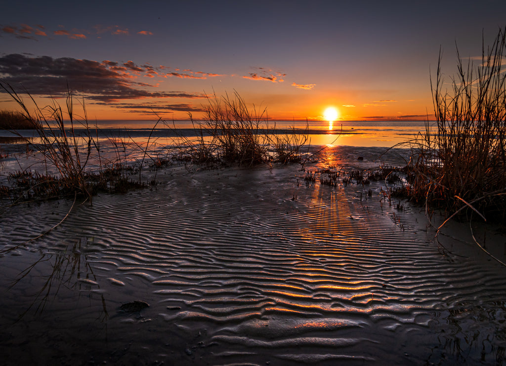Low Tide in the Park, Louisiana