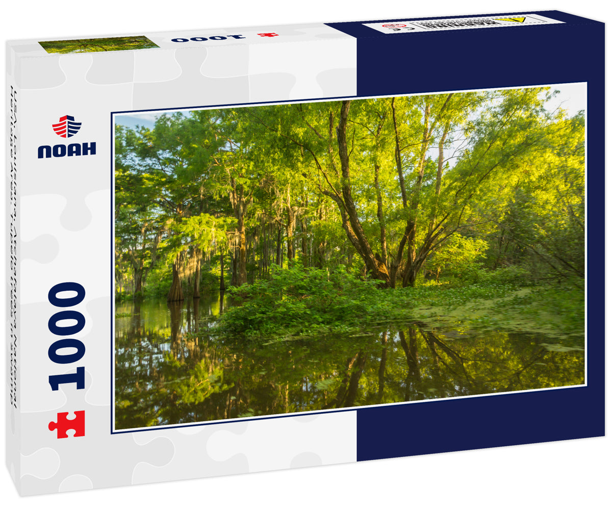 USA, Louisiana, Atchafalaya National Heritage Area. Tupelo trees in swamp