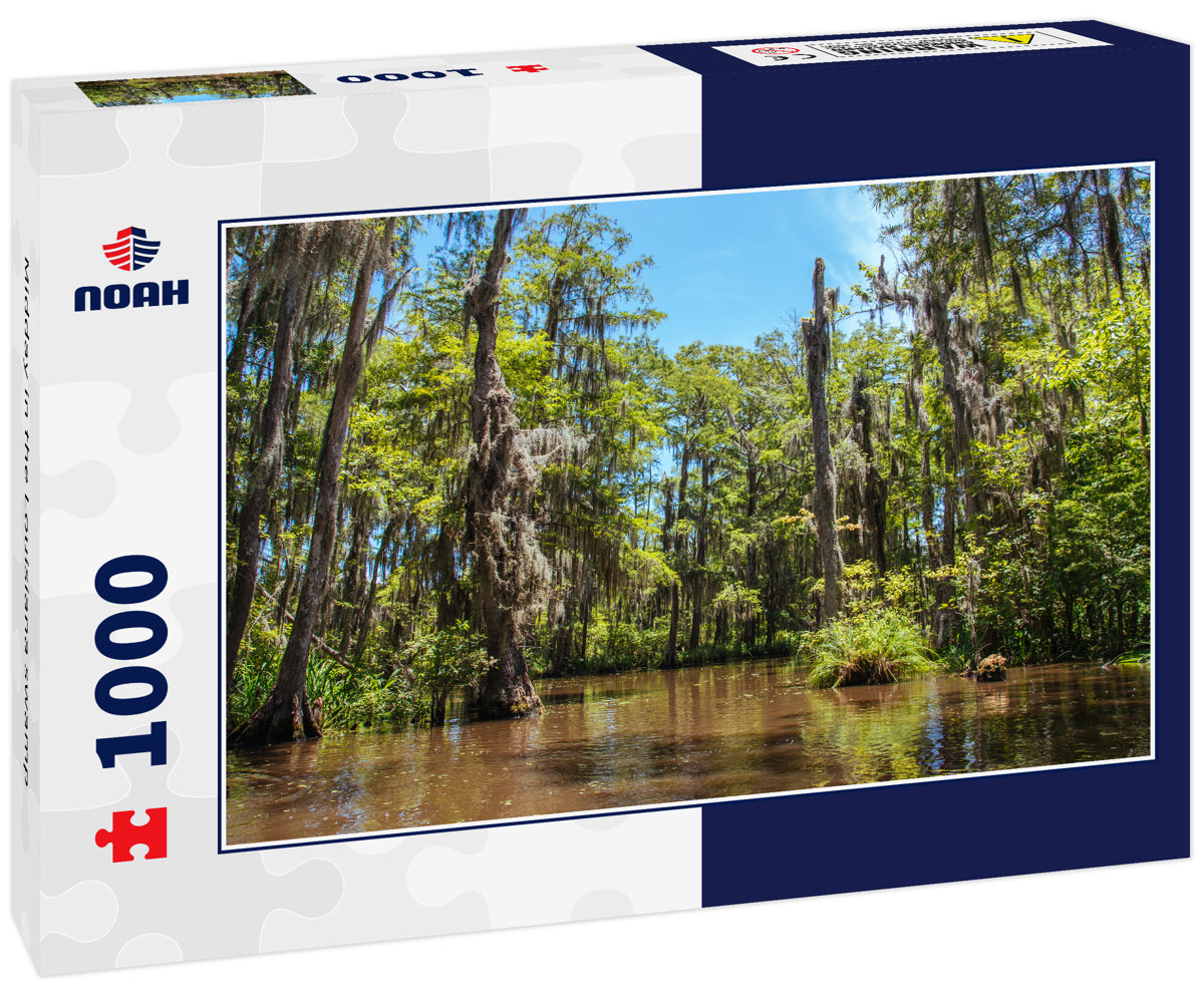 Midday in the Louisiana swamp