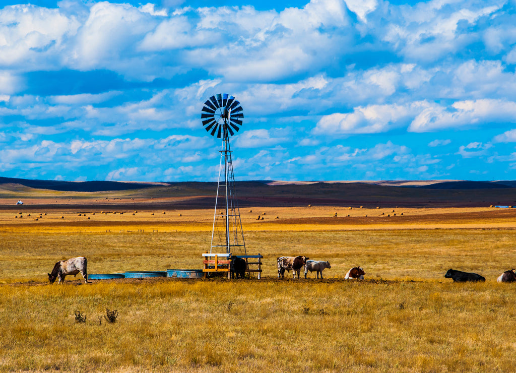 Old Wyoming Ranch