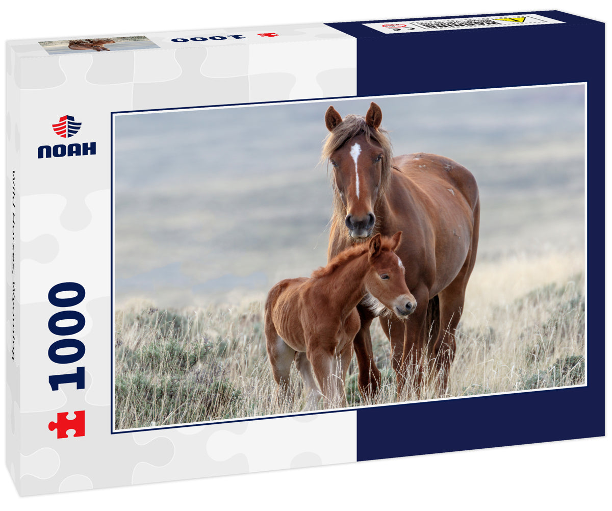 Wild Horses, Wyoming