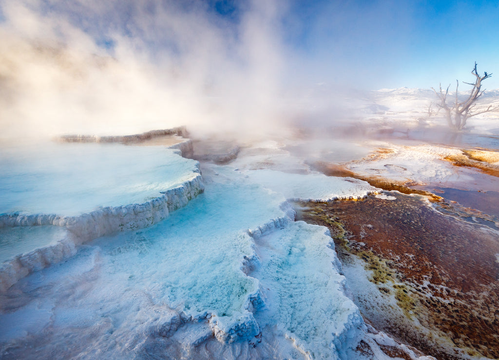 Mammoth Hot Springs with steamy terraces during winter snowy season in Yellowstone National Park, Wyoming, USA