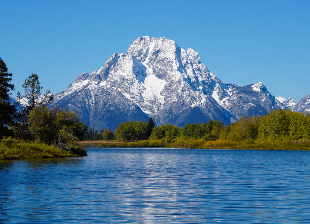 The Grand Tetons's Mount Moran rises majestically above the snake river and the forest's beautiful autumn colors, Wyoming