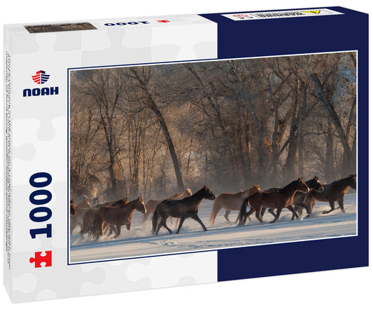 Horse running in the snow on a cold winter day with hoar frost on trees on ranch in wyoming in the american west majority of herd being quarter horses some mustangs