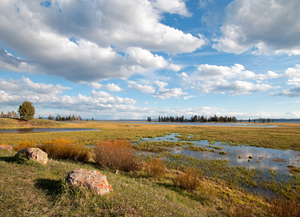 Pelican Creek next to Yellowstone Lake at sunset in Yellowstone National Park in Wyoming USA