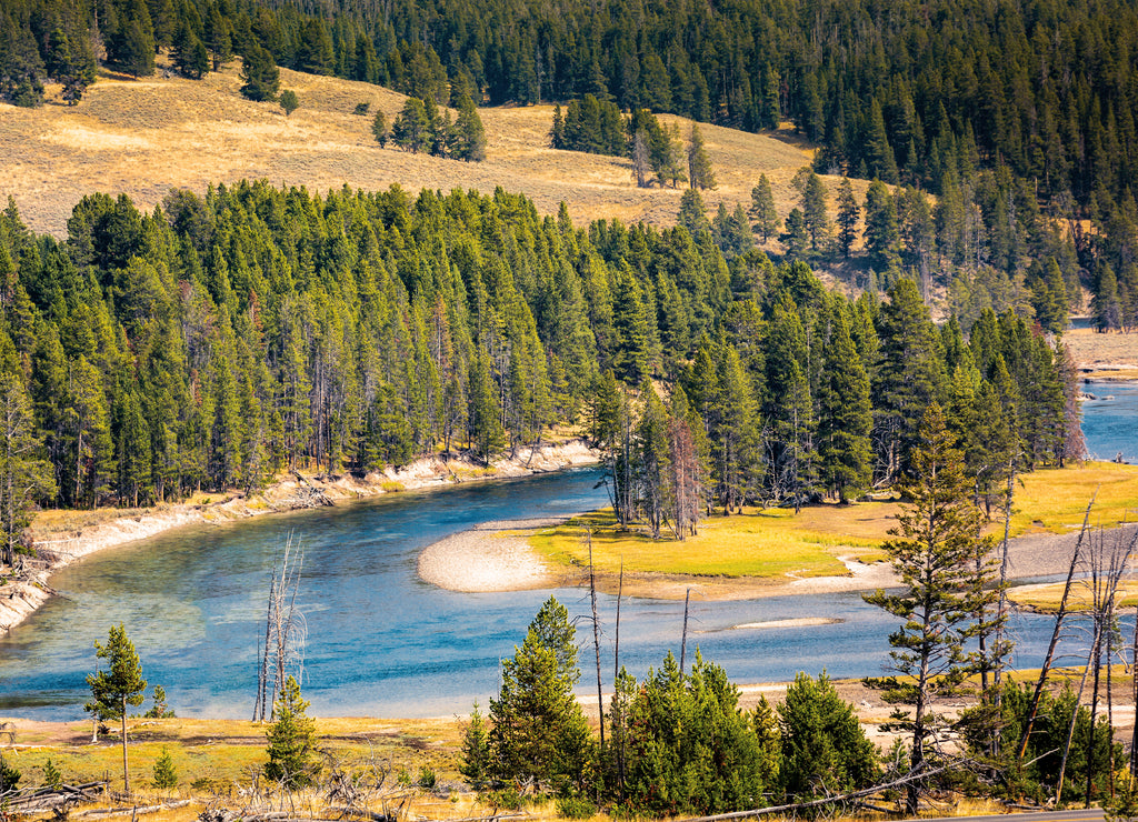 Landscape with the Yellowstone river in Yellowstone national park, Wyoming