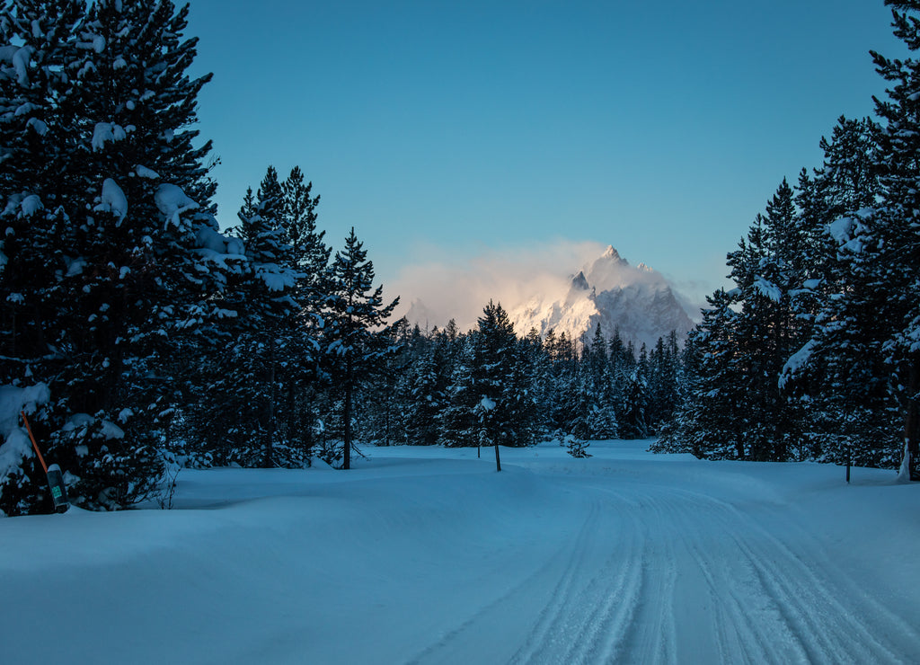 A road winds through the snowy trees in Grand Teton National Park, Wyoming