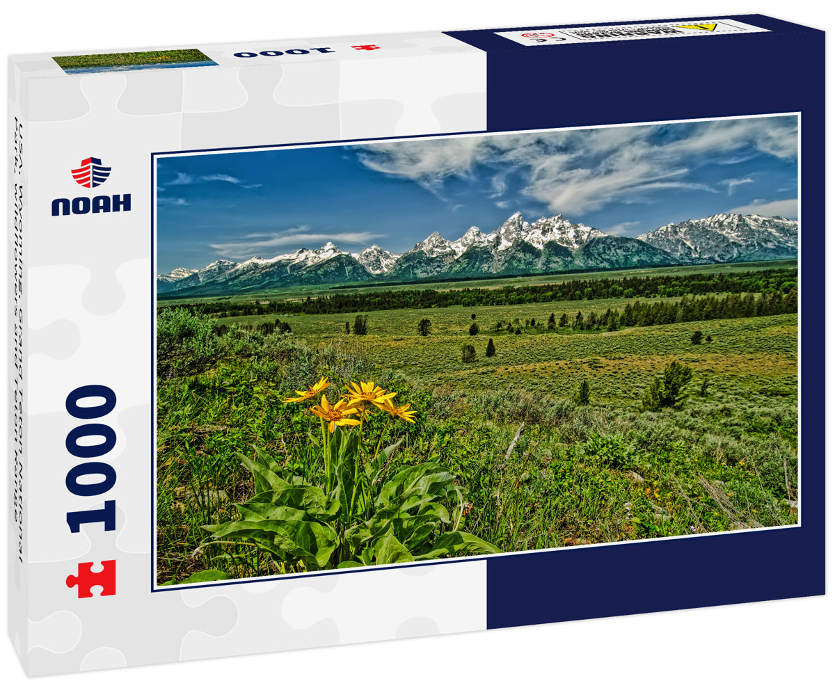 USA, Wyoming, Grand Teton National Park, wildflowers and Teton Range
