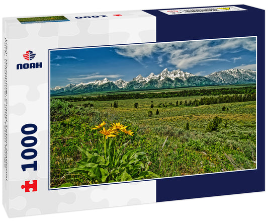 USA, Wyoming, Grand Teton National Park, wildflowers and Teton Range