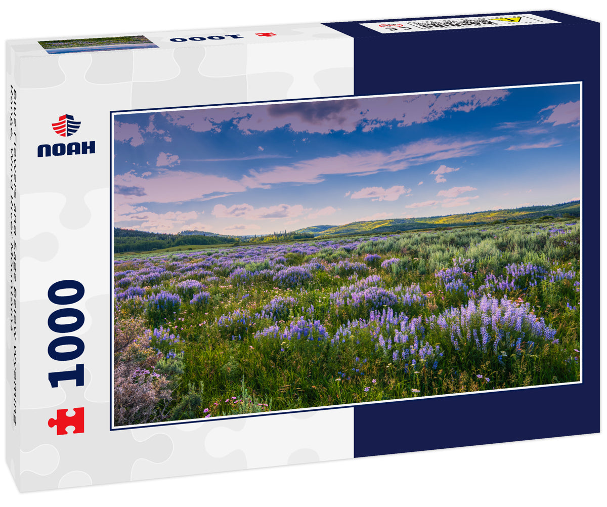 Blue Flowers and Sage Below Wyoming Range, Wind River Mountains