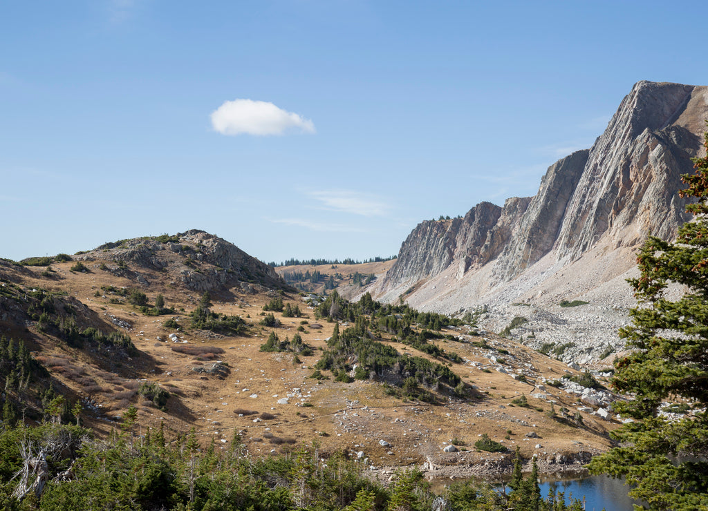 Medicine Bow Landscape, Wyoming