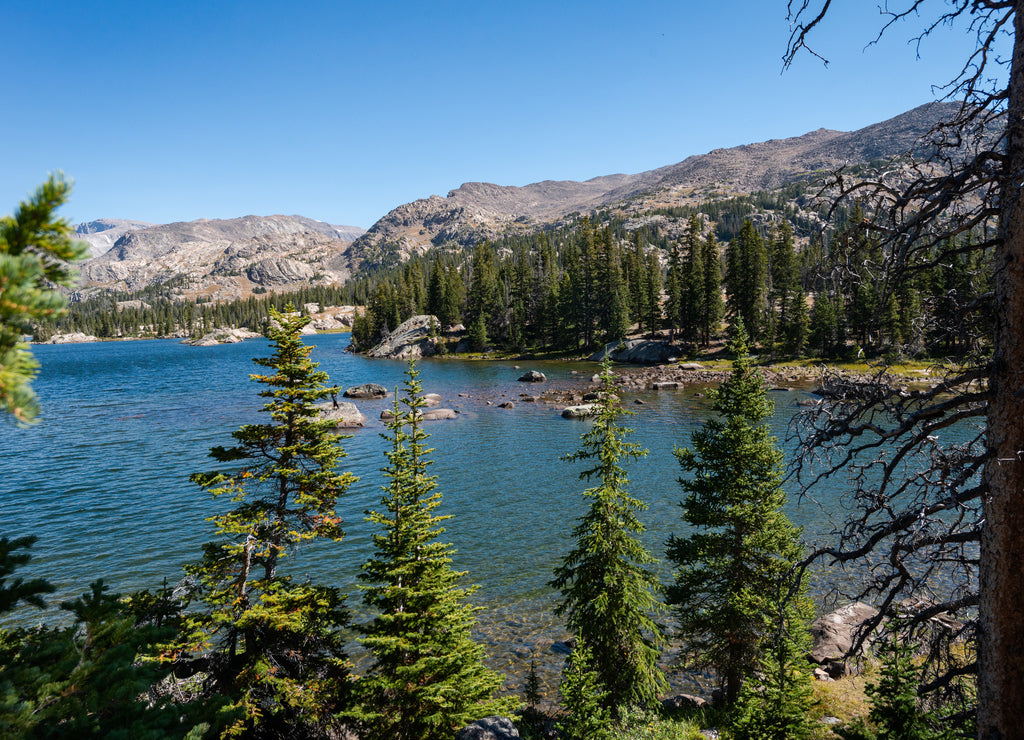 Lake Helen Trail in Bighorn National Forest, Wyoming. USA. Back to Nature concept