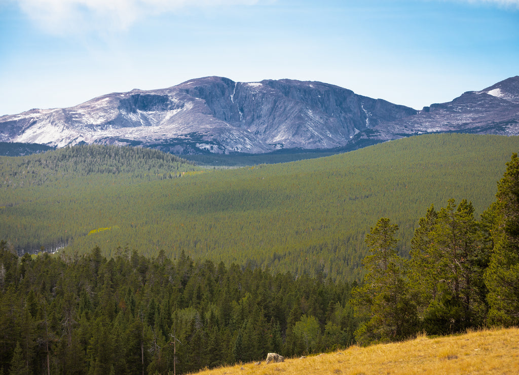 Bighorn National Forest in Wyoming