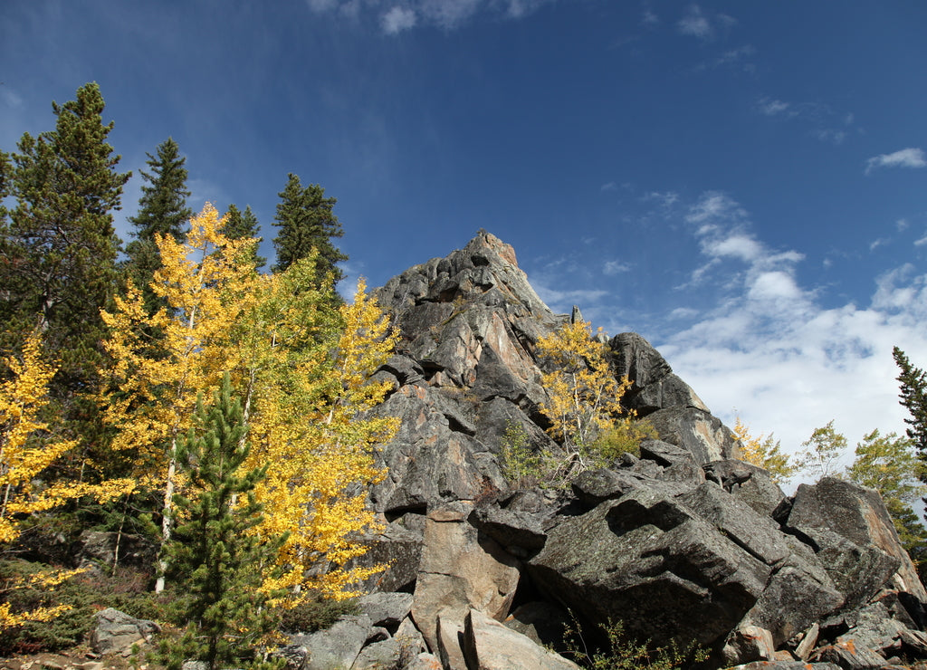 Fall colors in Bighorn Mountains, Wyoming