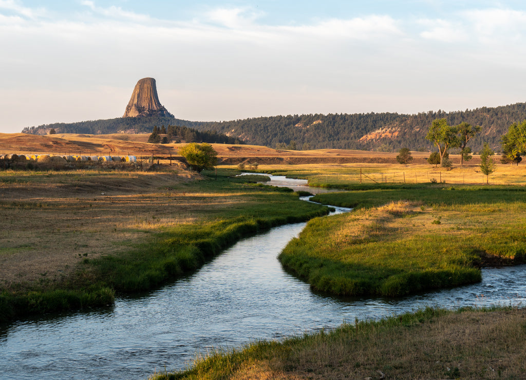 The Belle Fourche river running through a field and Devils Tower butte in the background in the early morning light, Devils Tower National Monument, Wyoming